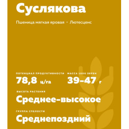 ПАМЯТИ СУСЛЯКОВА