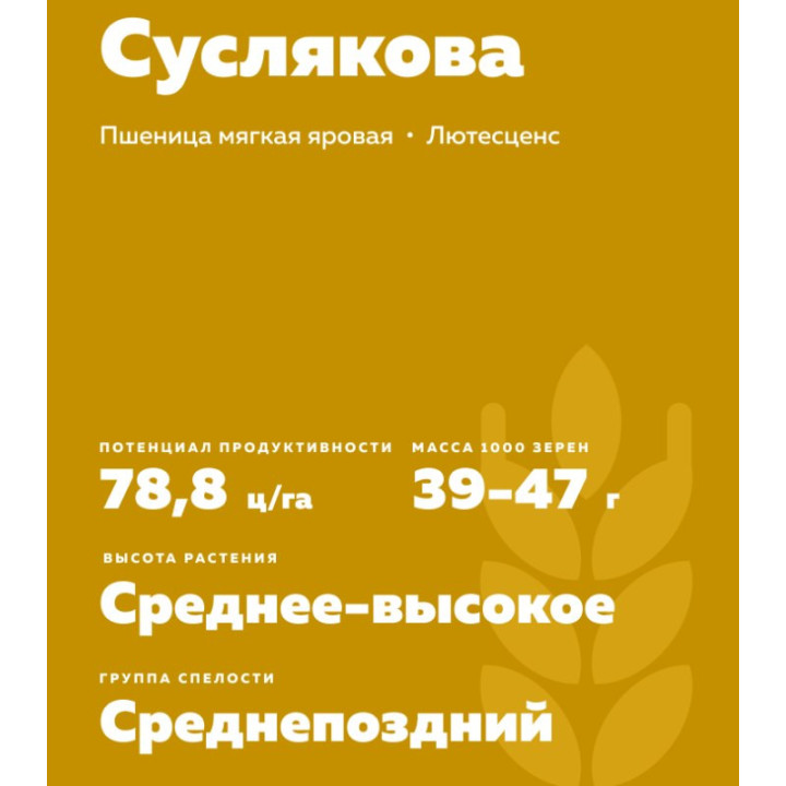 ПАМЯТИ СУСЛЯКОВА