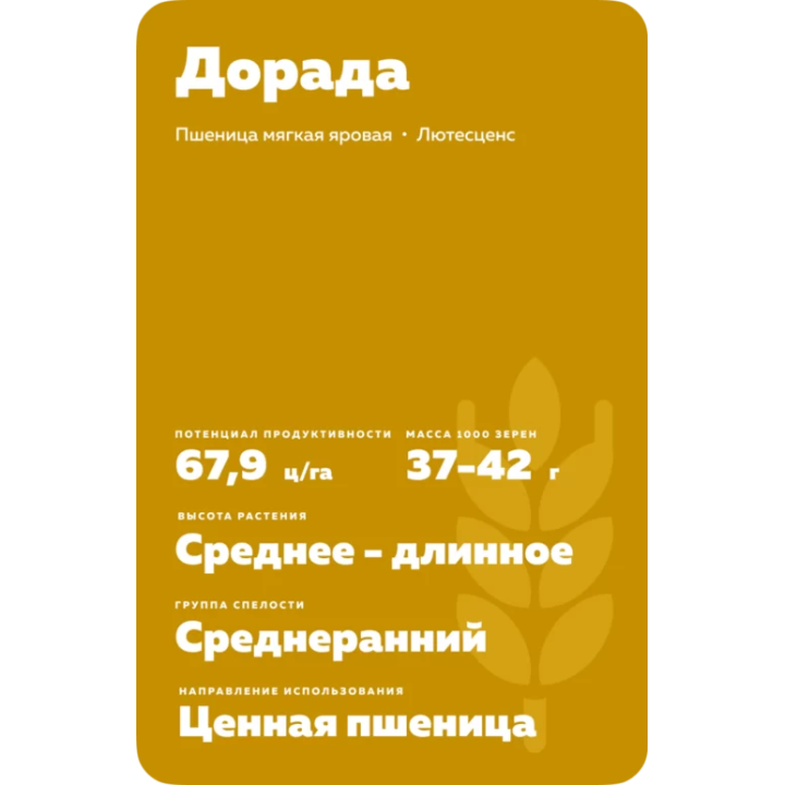 ДОРАДА