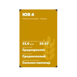 ДАЛЬГАУ 3