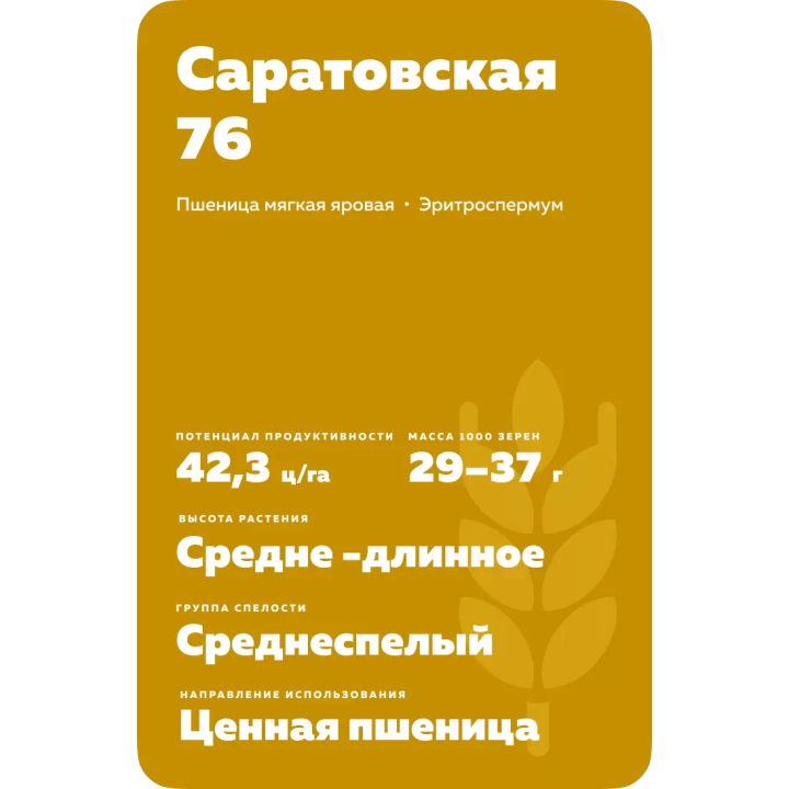 САРАТОВСКАЯ 76