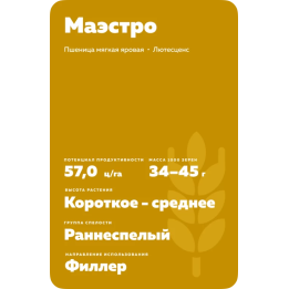 МАЭСТРО