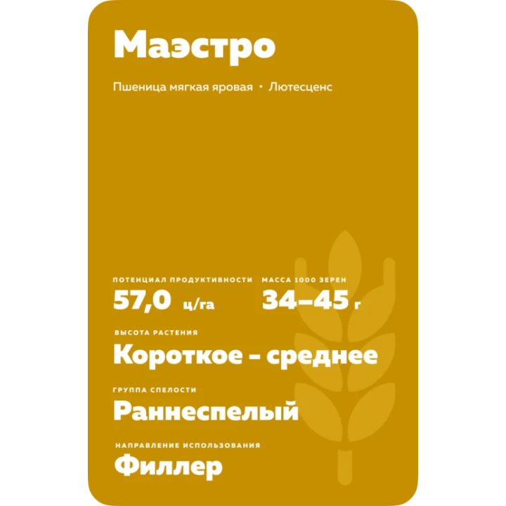 МАЭСТРО
