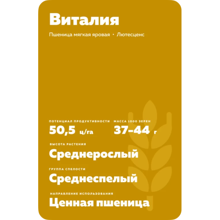 ВИТАЛИЯ