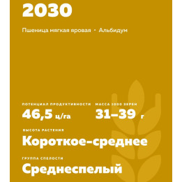 АЛЬБИДУМ 2030