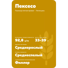 ПЕКСЕСО