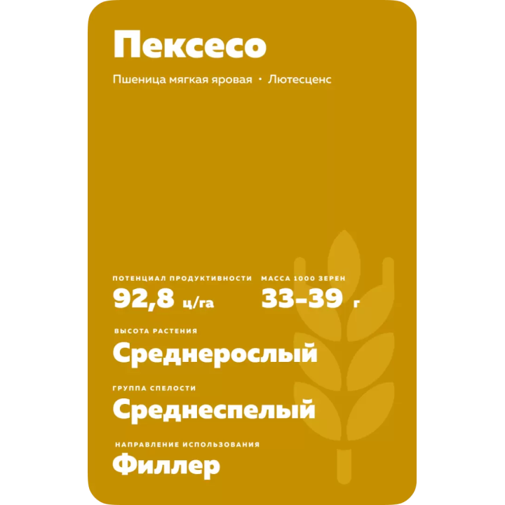 ПЕКСЕСО
