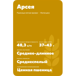 АРСЕЯ
