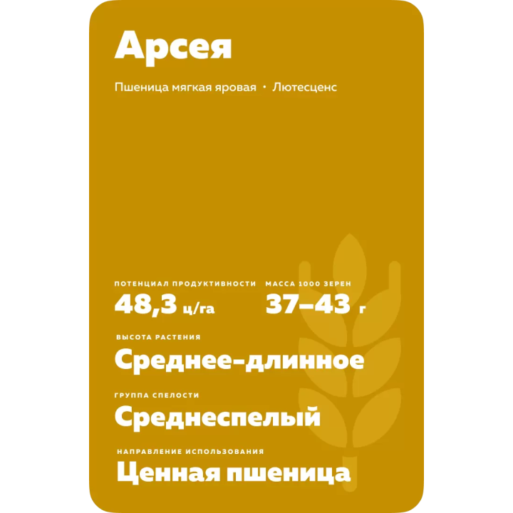 АРСЕЯ
