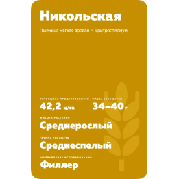 НИКОЛЬСКАЯ