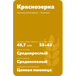КРАСНОЗЁРКА