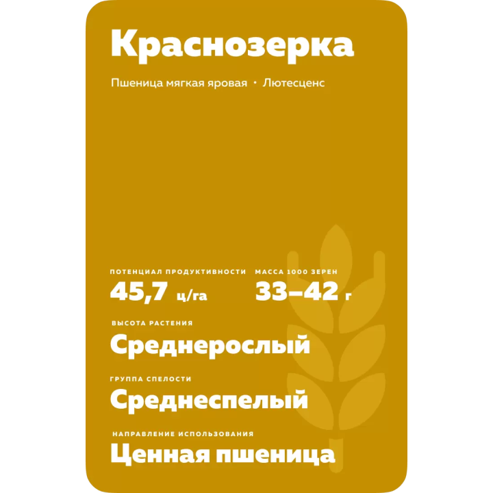 КРАСНОЗЁРКА