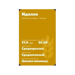 ХАЗИНЭ