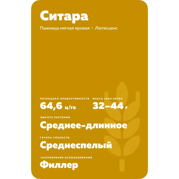 СИТАРА