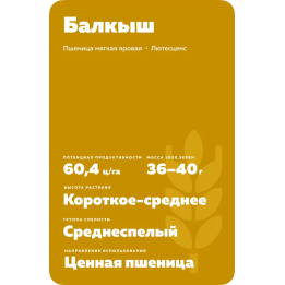 БАЛКЫШ