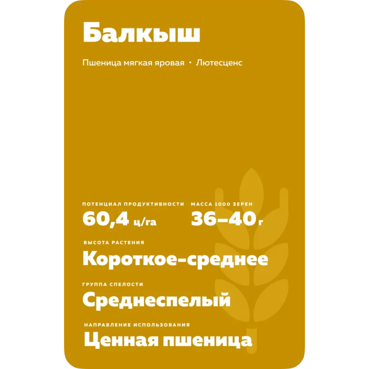 БАЛКЫШ