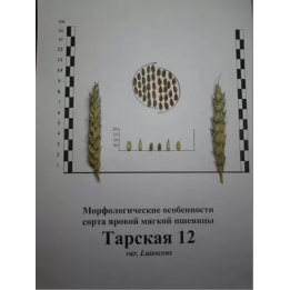 ТАРСКАЯ 12