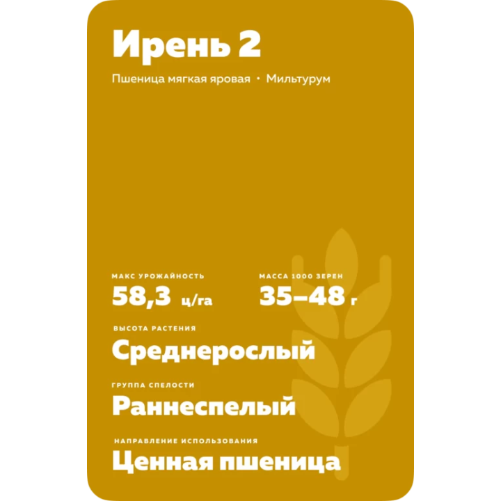 ИРЕНЬ 2