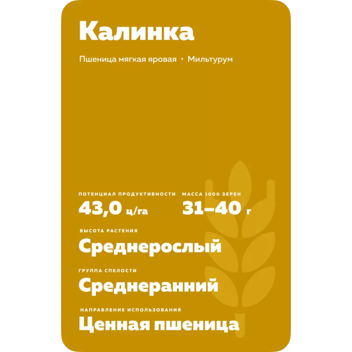 КАЛИНКА