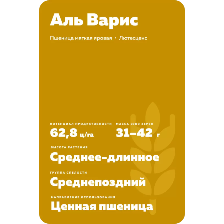 АЛЬ ВАРИС
