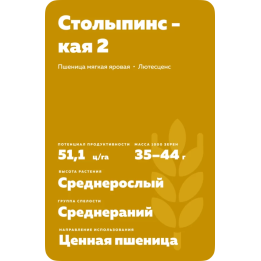 СТОЛЫПИНСКАЯ 2