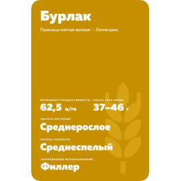 БУРЛАК