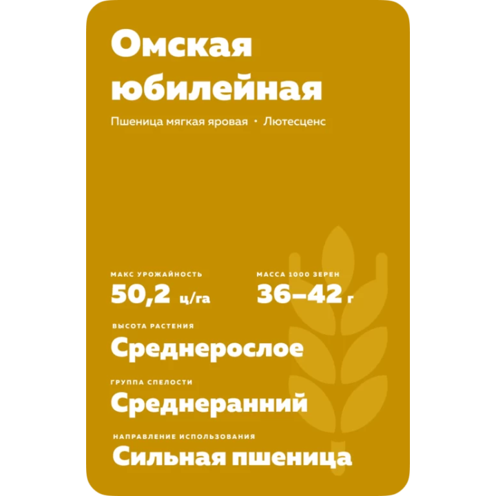 ОМСКАЯ ЮБИЛЕЙНАЯ