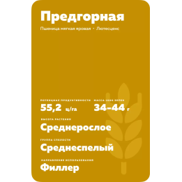 ПРЕДГОРНАЯ
