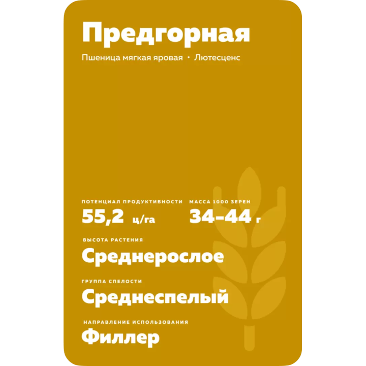 ПРЕДГОРНАЯ