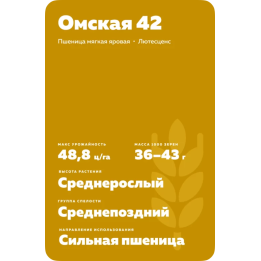 ОМСКАЯ 42