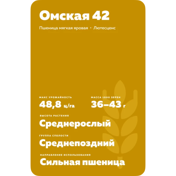 ОМСКАЯ 42