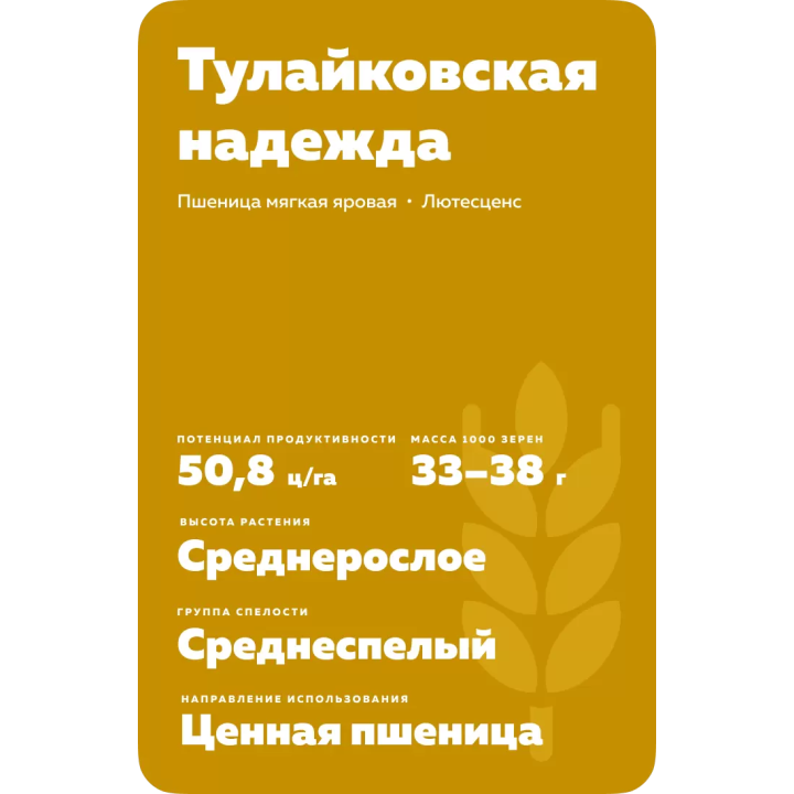 ТУЛАЙКОВСКАЯ НАДЕЖДА