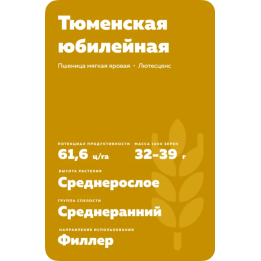 ТЮМЕНСКАЯ ЮБИЛЕЙНАЯ