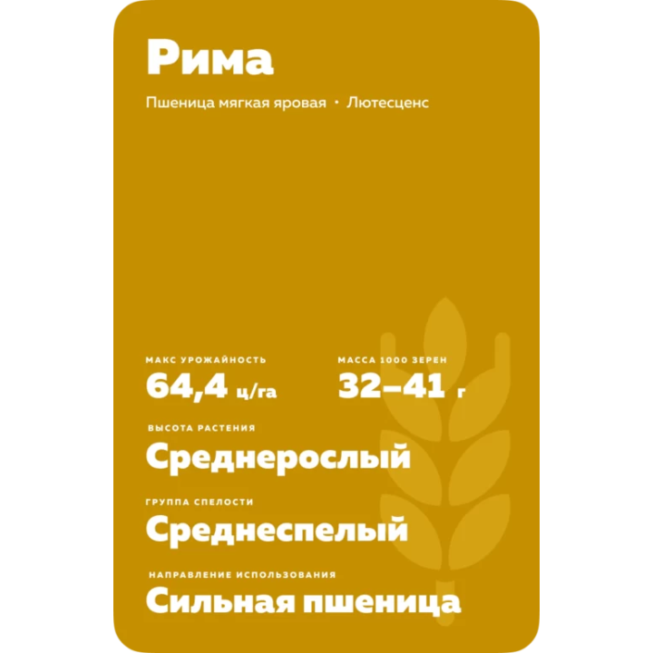 РИМА