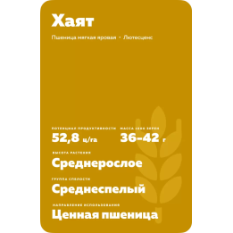 ХАЯТ