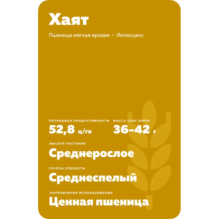 ХАЯТ