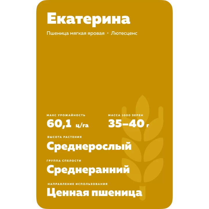 ЕКАТЕРИНА