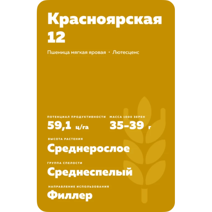 КРАСНОЯРСКАЯ 12