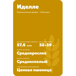 ИДЕЛЛЕ