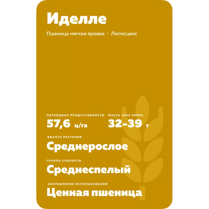 ИДЕЛЛЕ