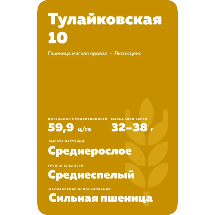 ТУЛАЙКОВСКАЯ 110