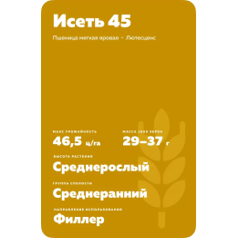 ИСЕТЬ 45