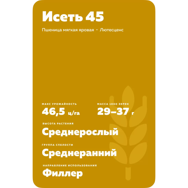 ИСЕТЬ 45