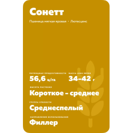 СОНЕТТ