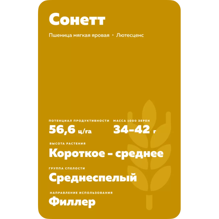 СОНЕТТ