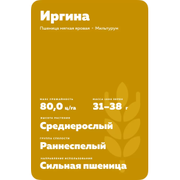 ИРГИНА