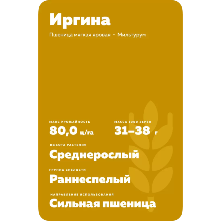 ИРГИНА
