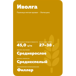 ИВОЛГА