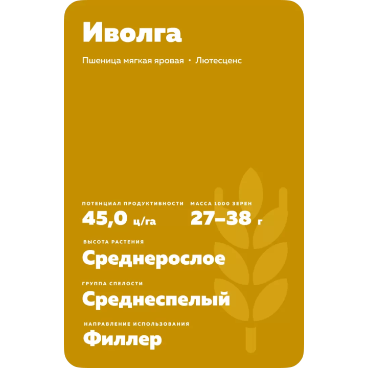 ИВОЛГА