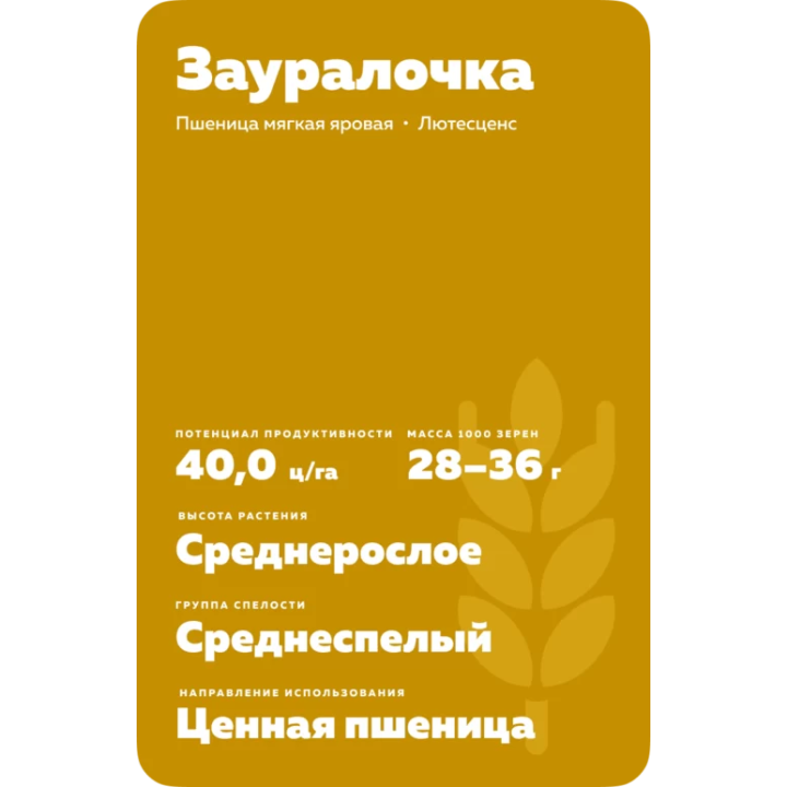 ЗАУРАЛОЧКА